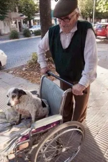 Літній чоловік, який щодня вигулює свого літнього собаку - Смішні Анекдоти Історії Цитати літній