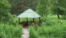 місце