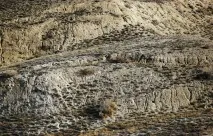 Публікація Загадкові знаки на дні Аральського моря знаки