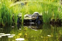 Ставок для купання своїми руками, будівництво природного ставка на дачі своїми руками, Водойми, купання