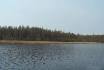 години