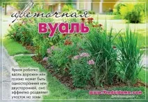 рабатка