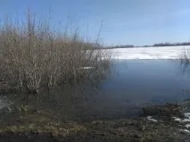 2019 курортния експерт