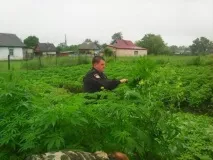 приморец приморец