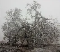 передплатникам