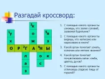 човешкото тяло Структурата човешкото