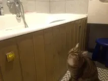 Ремонт у новобудові з нуля зверху