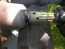 разновидности описание