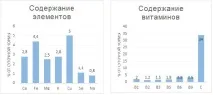 Редька Дайкон корисні властивості та протипоказання, яка шкода для здоров’я редька