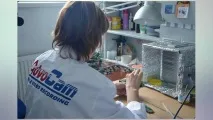 українські народні відеореєстратори AdvoCam відеореєстратори