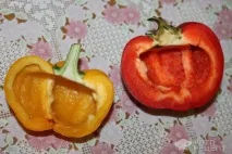 курка