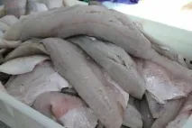 астрахан рибният