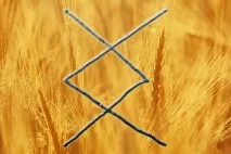значение runa