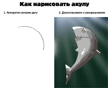 Малюємо акулу зверху
