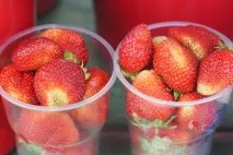 сезонът жители