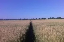 санаториумите луганска