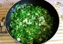 билки самса