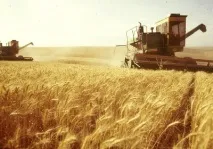 Сільське господарство, Дніпро Час Україні