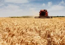 Сільське господарство, Дніпро Час господарство