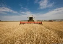 Сільське господарство, Дніпро Час повідомляє