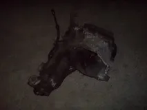 Самостійне перебирання АКПП та її встановлення встановлення