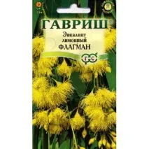 Насіння Гавриш Евкаліпт лимонний Флагман - «Ненаситний кущ, п’є, п’є - все йому мало фото», Відгуки лимонний