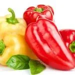 Солодкий овочевий перець батьківщина болгарського, калорійність, корисні властивості, харчова цінність, овочевий
