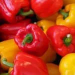 Солодкий овочевий перець батьківщина болгарського, калорійність, корисні властивості, харчова цінність, калорійність