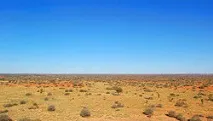 Desert