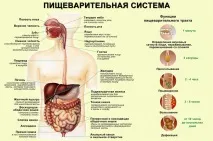 скільки