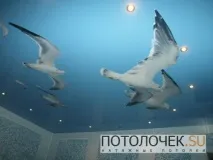 опънати