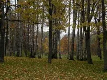 Збираєтеся до Пітера Обов’язково відвідайте Таврійський сад пітера