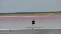 който цвят