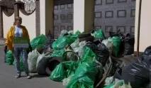 ліси