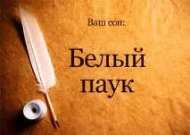 паяк тълкуване