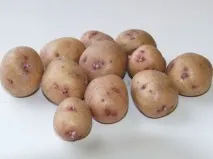 сортове сортове