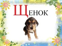 стихове буквата