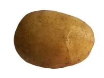 късни републиканско