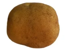 предприятие републиканско