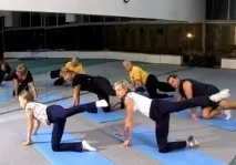 описание гимнастика