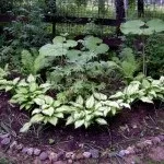 вила устойчиви