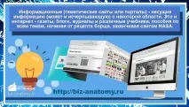 Типи сайтів 5 класифікаційних груп опис! опис