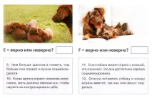 Тест 11 - Як грати з собакою грати