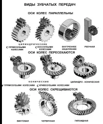 терміни