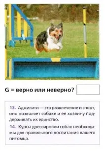 Тест 11 - Як грати з собакою собакою