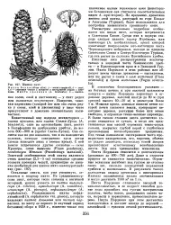 Троянський кінь - Велика Енциклопедія Нафти та Газа, стаття 3 велика