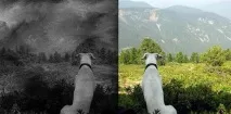 Самота - приголомшливе досягнення самота