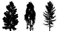 landscape draw