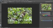 Фотошоп для початківців інтерфейс Photoshop Photoshop