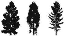 landscape vector